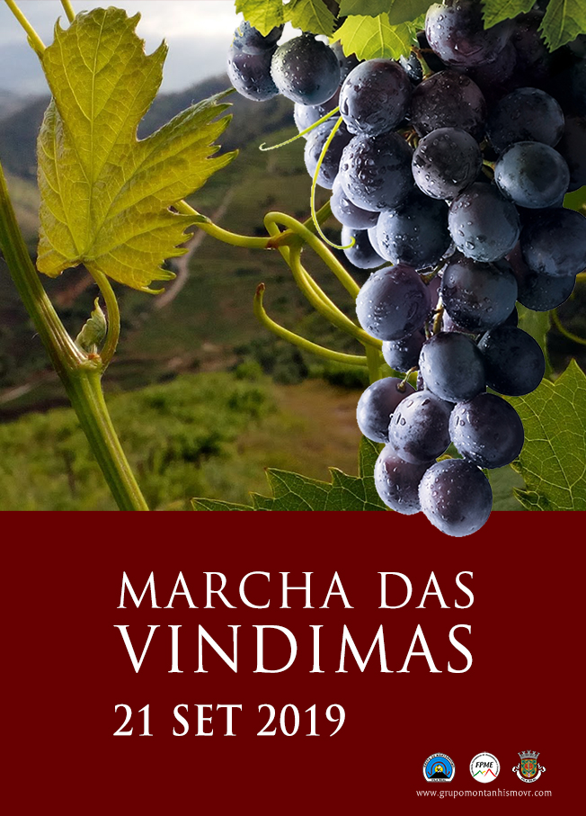 NET CARTAZ 2019 vindimas