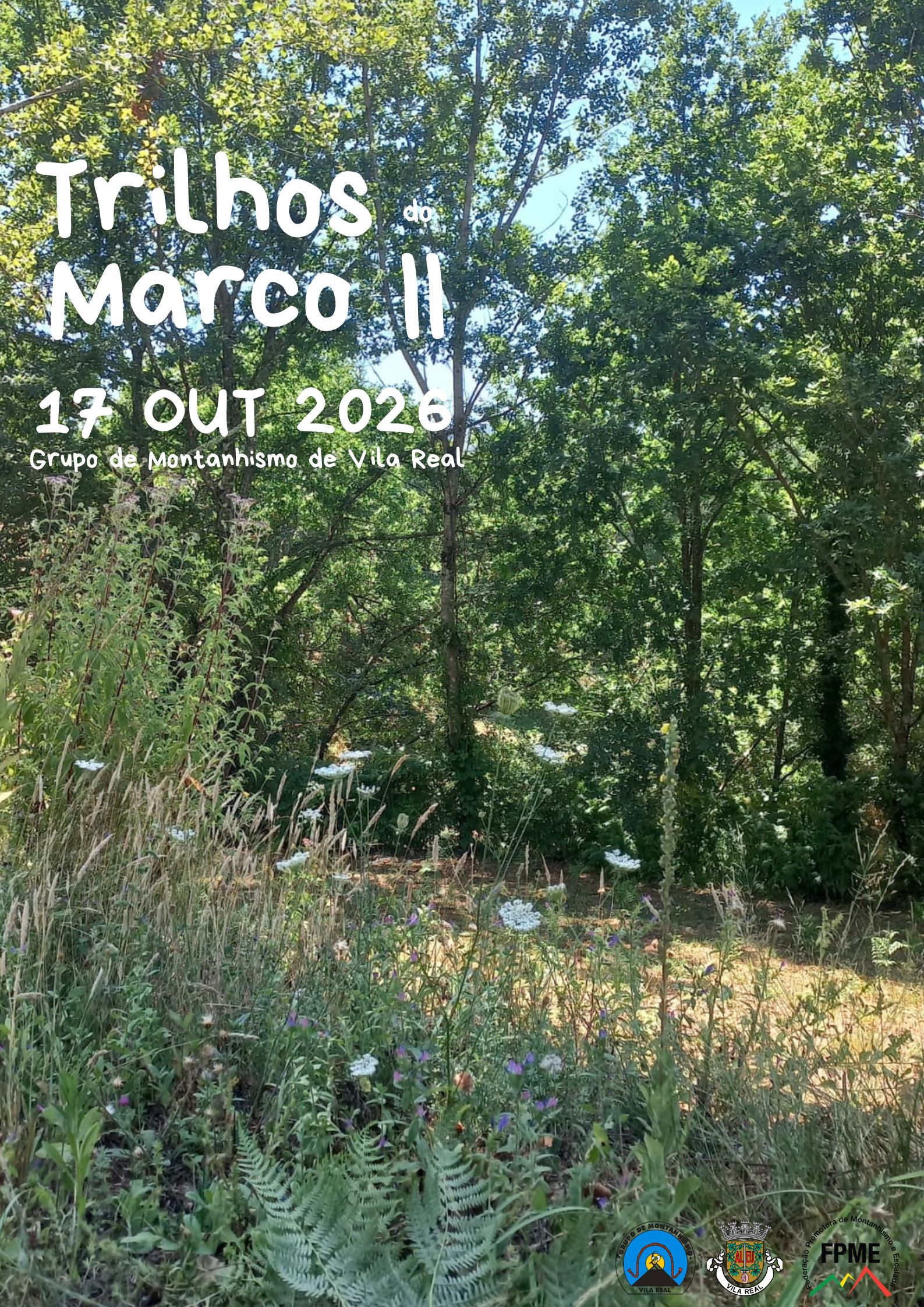 Trilhos do Marco II