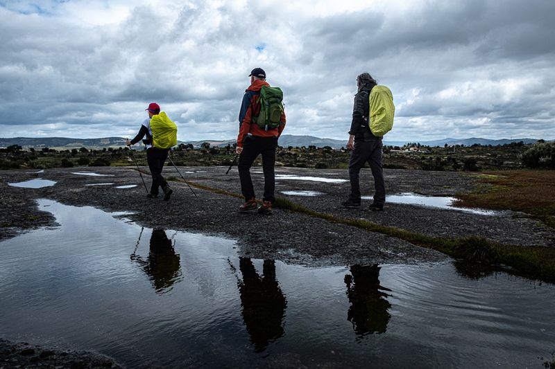 EstevisporCrdnhMrchPrimver230320254651