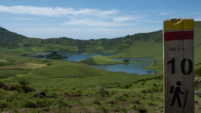 FloresCorvoJunho2022DSCF0309