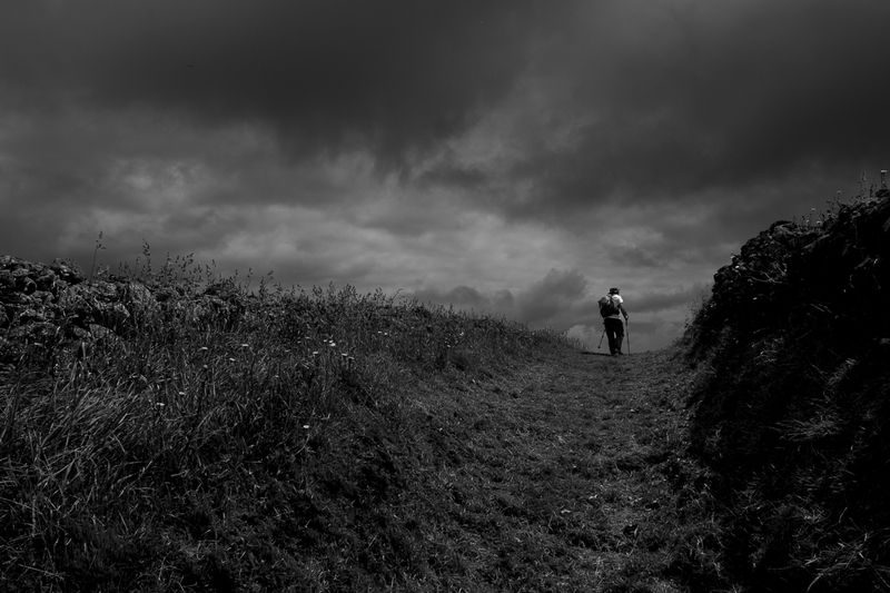 FloresCorvoJunho2022DSCF0501