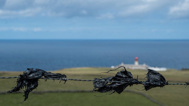 FloresCorvoJunho2022DSCF0519