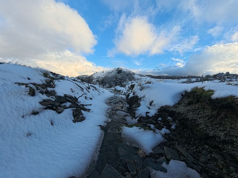 IMG20260117155014009