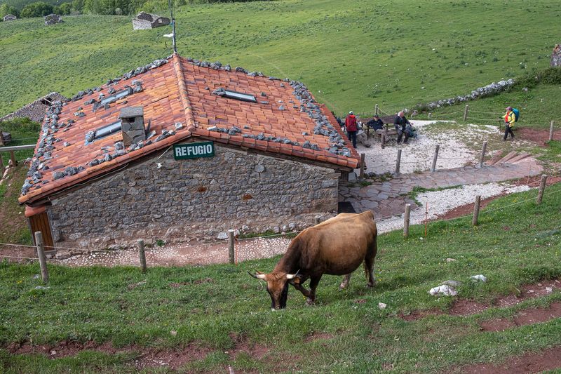 PicosEuropJun20247237