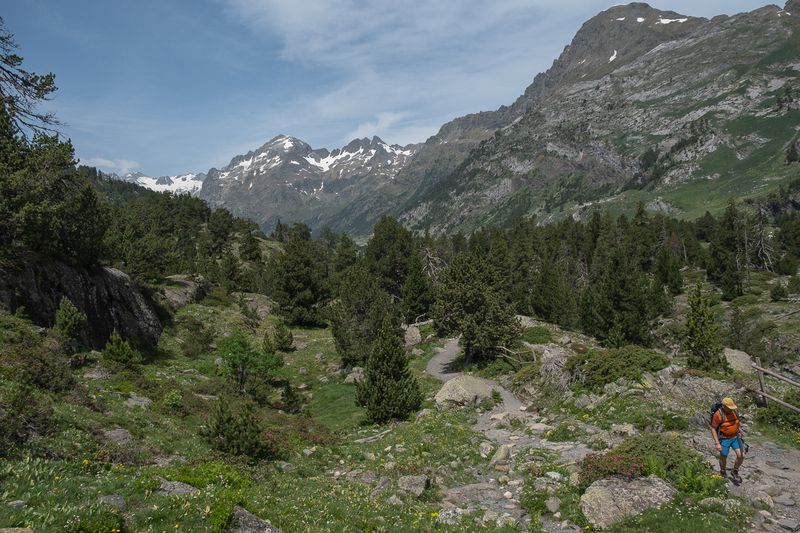 Pirineus11Jun2025LBesurtR.RenclusOrdes1158