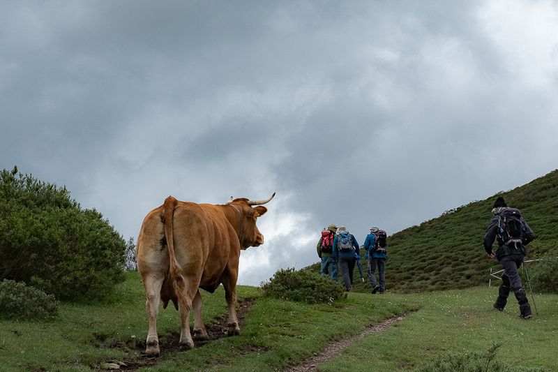 VIDEOExpedicoPicoseuropJun2023GMVR5