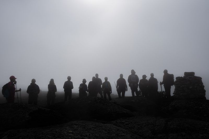 Ds11Mriols250420250049